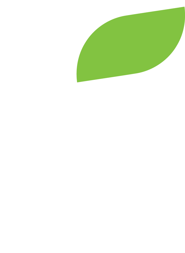 BrandLeaf CRM