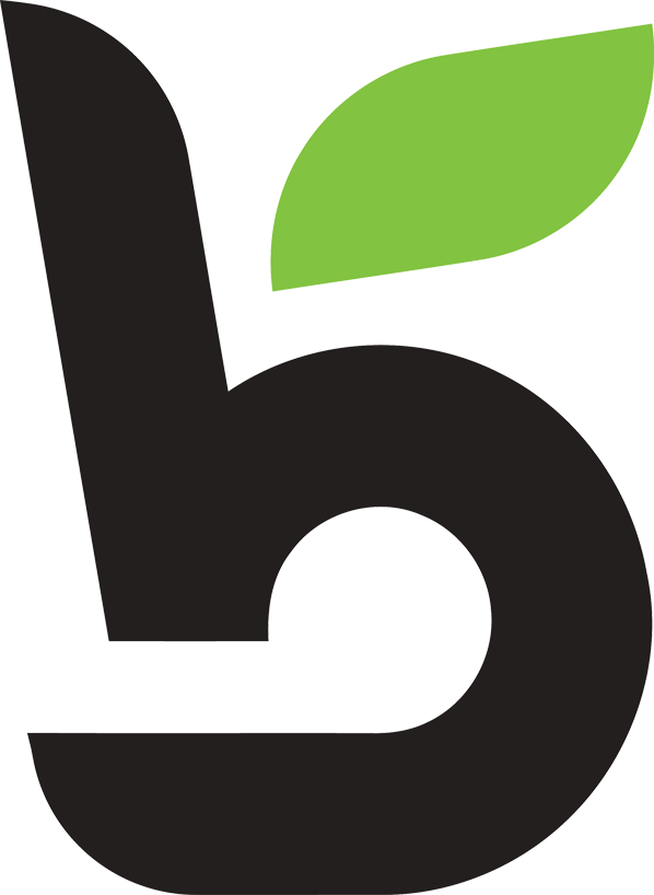 BrandLeaf CRM